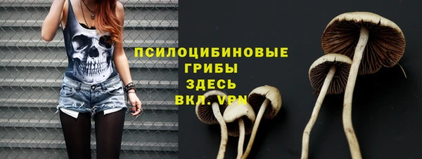 гидропоника Балахна