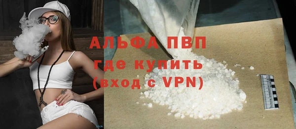 прущие грибы Балабаново