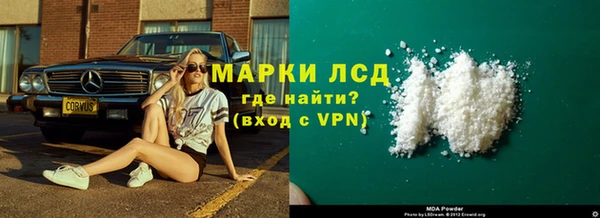 прущие грибы Балабаново