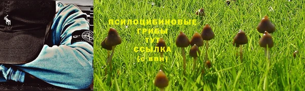гидропоника Балахна