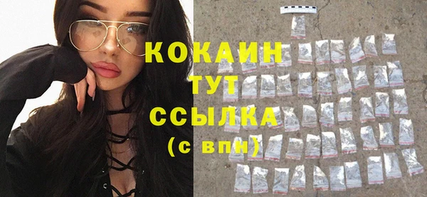 прущие грибы Балабаново