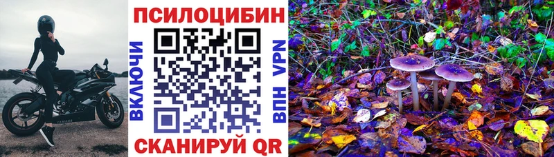 наркотики  Афипский  KRAKEN ССЫЛКА  Псилоцибиновые грибы Psilocybe 